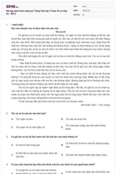 Bài tập phát triển năng lực Tiếng Việt lớp 4 Tuần 35 có đáp án - Bài 2