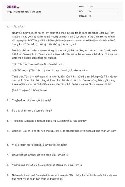 (Ngữ liệu ngoài sgk) Tấm Cám