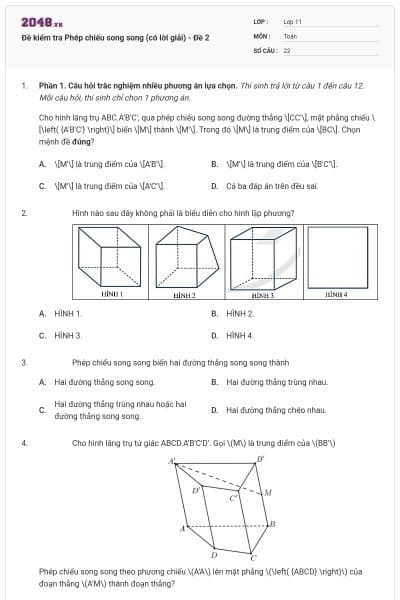 Đề kiểm tra Phép chiếu song song (có lời giải) - Đề 2
