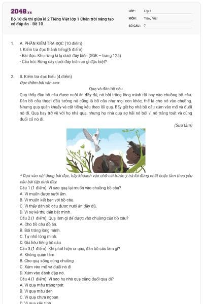 Bộ 10 đề thi giữa kì 2 Tiếng Việt lớp 1 Chân trời sáng tạo có đáp án - Đề 10