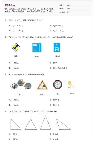 20 câu Trắc nghiệm Toán 6 Chân trời sáng tạo Bài 1. Hình vuông – Tam giác đều – Lục giác đều (Đúng sai - Trả lời ngắn) có đáp án