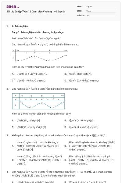 Bài tập ôn tập Toán 12 Cánh diều Chương 1 có đáp án