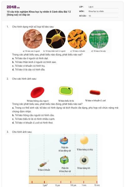 10 câu trắc nghiệm Khoa học tự nhiên 6 Cánh diều Bài 12 (Đúng sai) có đáp án