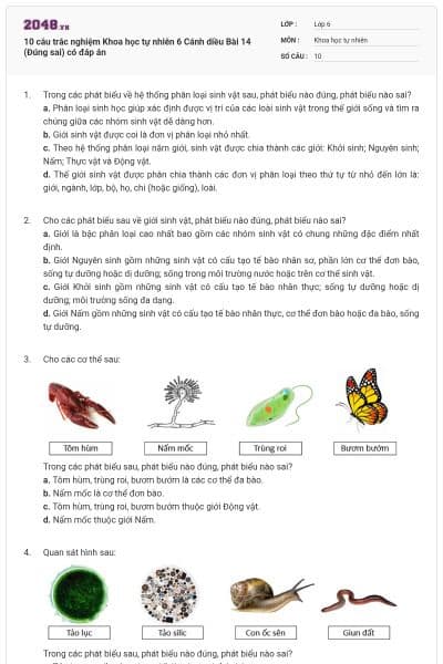 10 câu trắc nghiệm Khoa học tự nhiên 6 Cánh diều Bài 14 (Đúng sai) có đáp án