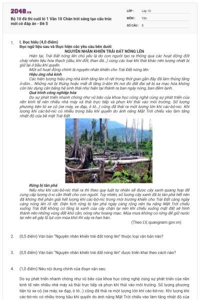 Bộ 10 đề thi cuối kì 1 Văn 10 Chân trời sáng tạo cấu trúc mới có đáp án - Đề 5