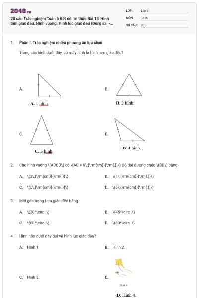 20 câu Trắc nghiệm Toán 6 Kết nối tri thức Bài 18. Hình tam giác đều. Hình vuông. Hình lục giác đều (Đúng sai - Trả lời ngắn) có đáp án