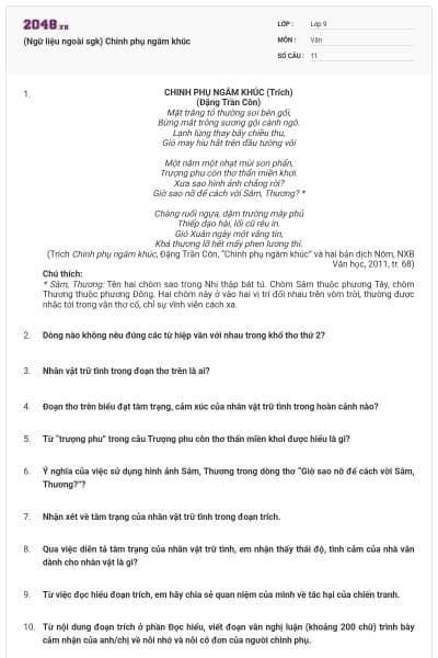 (Ngữ liệu ngoài sgk) Chinh phụ ngâm khúc