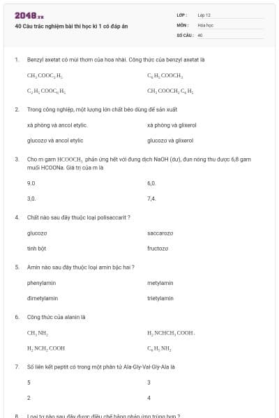 40 Câu trắc nghiệm bài thi học kì 1 có đáp án