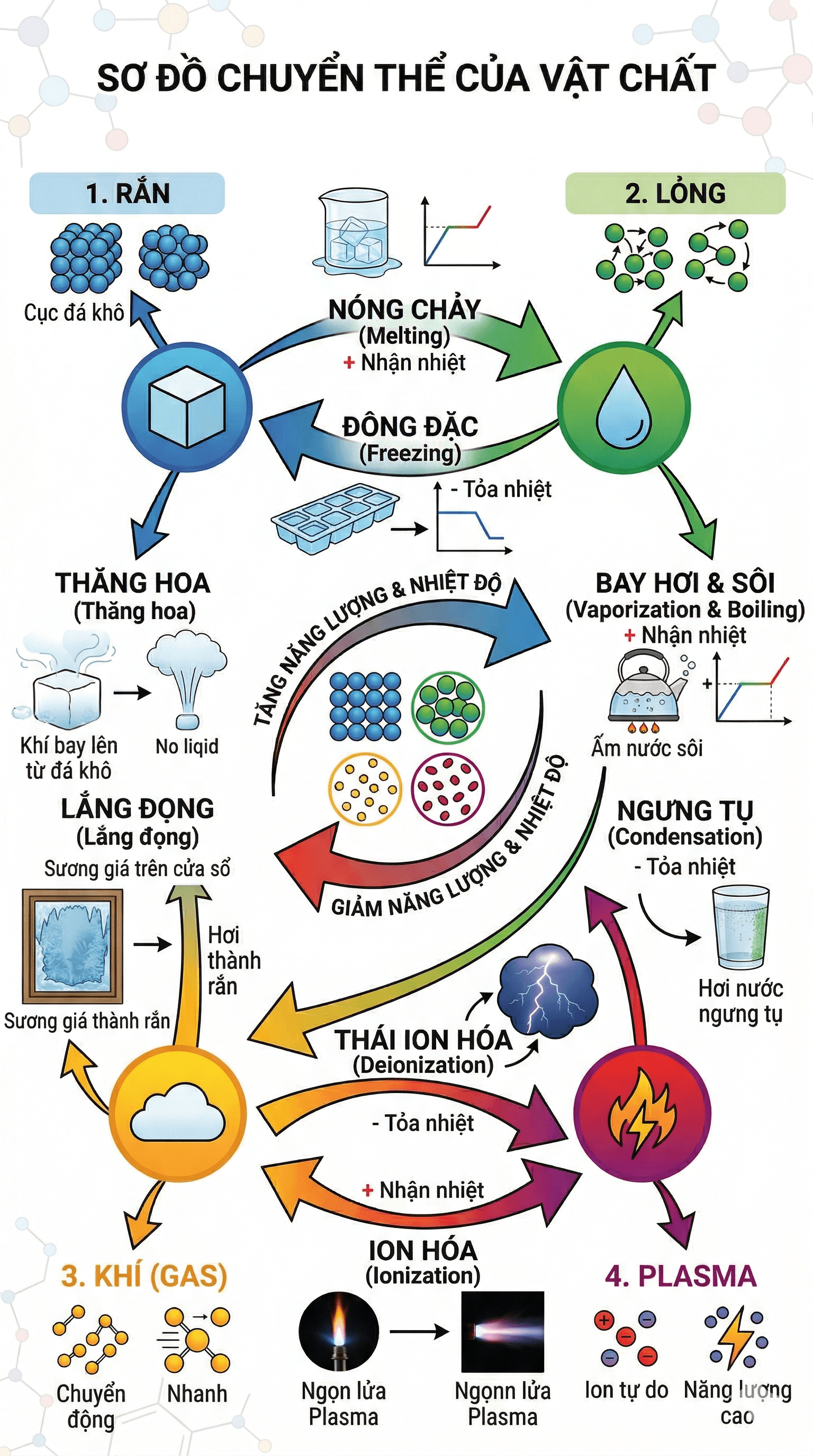 Thi đại học