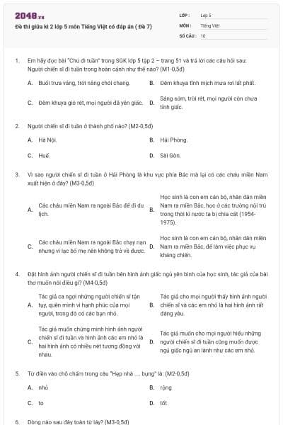 Đề thi giữa kì 2 lớp 5 môn Tiếng Việt có đáp án ( Đề 7)