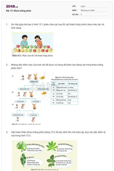 Bài 15: Khóa lưỡng phân