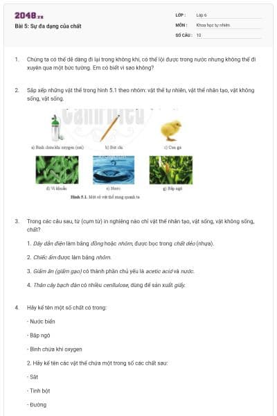 Bài 5: Sự đa dạng của chất