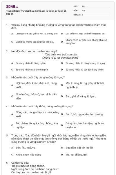 Trắc nghiệm: Thực hành về nghĩa của từ trong sử dụng có đáp án