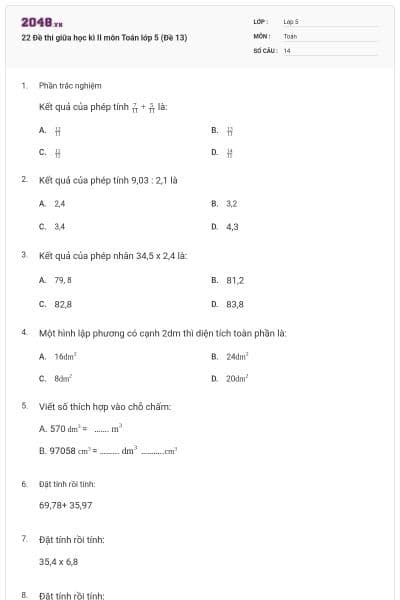 22 Đề thi giữa học kì II môn Toán lớp 5 (Đề 13)