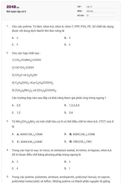 Bài luyện tập số 6