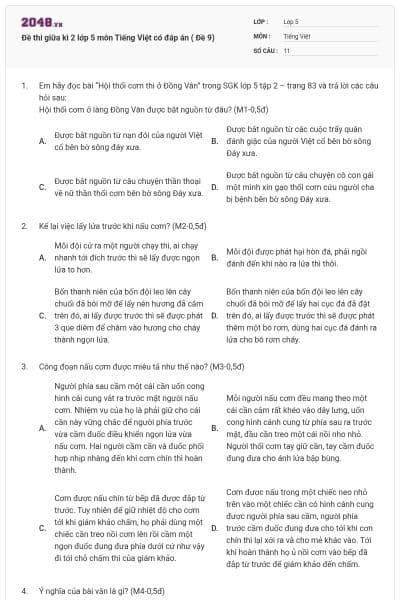 Đề thi giữa kì 2 lớp 5 môn Tiếng Việt có đáp án ( Đề 9)