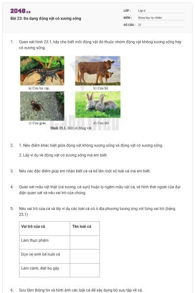 Bài 23: Đa dạng động vật có xương sống