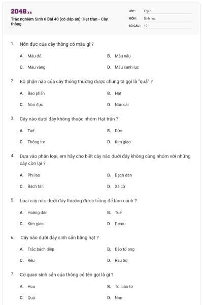 Trắc nghiệm Sinh 6 Bài 40 (có đáp án): Hạt trần - Cây thông