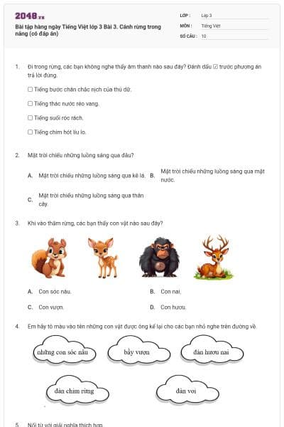 Bài tập hàng ngày Tiếng Việt lớp 3 Bài 3. Cánh rừng trong nắng  (có đáp án)