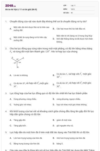 Đề ôn thi Vật Lí 11 có lời giải (Đề 8)