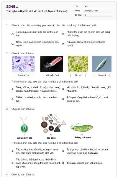 Trắc nghiệm Nguyên sinh vật lớp 6 (có đáp án - Đúng sai)