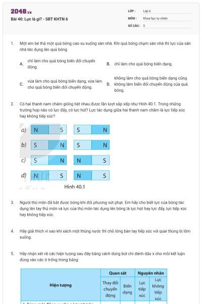Bài 40: Lực là gì? - SBT KHTN 6