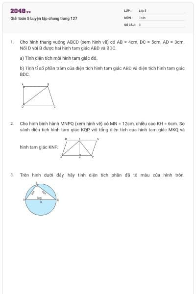 Giải toán 5 Luyện tập chung trang 127