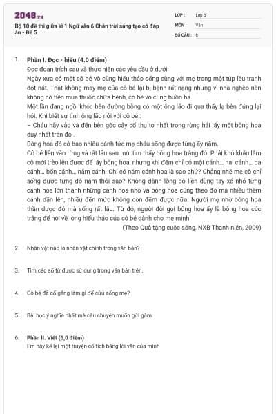Bộ 10 đề thi giữa kì 1 Ngữ văn 6 Chân trời sáng tạo có đáp án - Đề 5