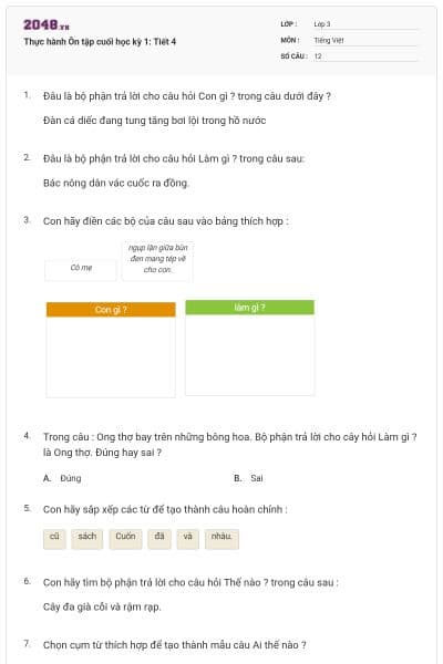 Thực hành Ôn tập cuối học kỳ 1: Tiết 4