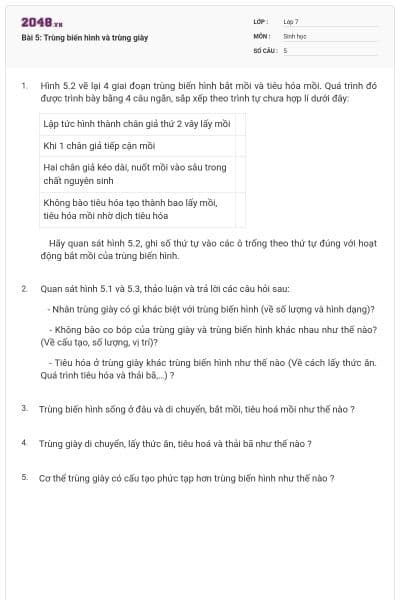 Bài 5: Trùng biến hình và trùng giày