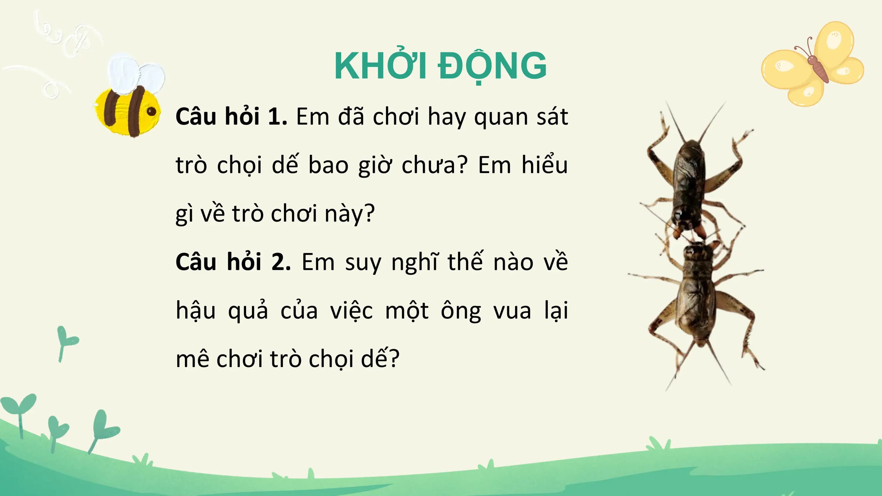 KHỞI ĐỘNG
Câu hỏi 1. Em đã chơi hay quan sát
trò chọi dế bao giờ chưa? Em hiểu
gì về trò chơi này?
Câu hỏi 2. Em suy nghĩ thế nào về
hậu quả của việc một ông vua lại
mê chơi trò chọi dế?