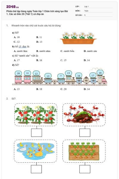 Phiếu bài tập hàng ngày Toán lớp 1 Chân trời sáng tạo Bài 1. Các số đến 20 (Tiết 1) có đáp án