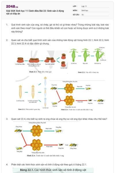 Giải SGK Sinh học 11 Cánh diều Bài 22: Sinh sản ở động vật có đáp án
