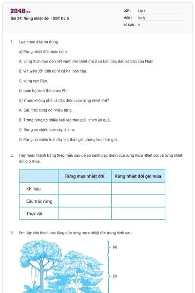 Bài 24: Rừng nhiệt đới - SBT ĐL 6
