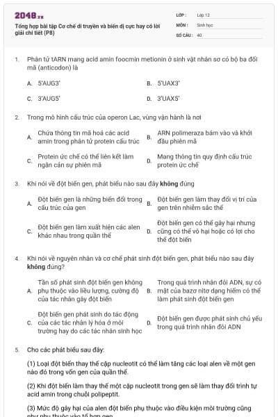 Tổng hợp bài tập Cơ chế di truyền và biến dị cực hay có lời giải chi tiết (P8)