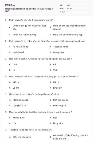 Trắc nghiệm Sinh Học 6 Bài 24: Phần lớn nước vào cây đi đâu?