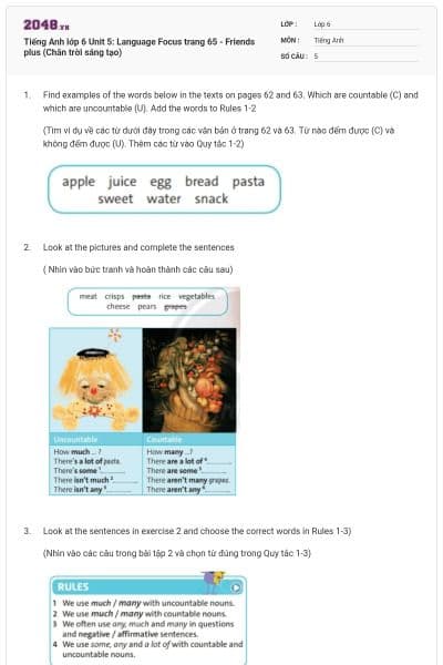Tiếng Anh lớp 6 Unit 5: Language Focus trang 65 - Friends plus (Chân trời sáng tạo)