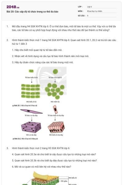 Bài 20: Các cấp độ tổ chức trong cơ thể đa bào