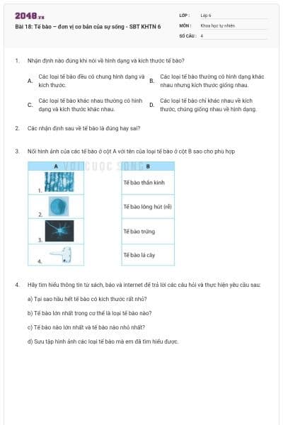 Bài 18: Tế bào – đơn vị cơ bản của sự sống - SBT KHTN 6