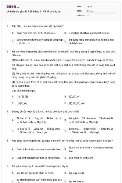 Đề kiểm tra giữa kì 1 Sinh học 11 CTST có đáp án