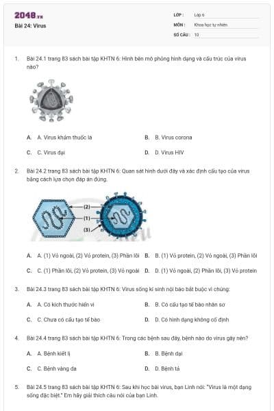 Bài 24: Virus