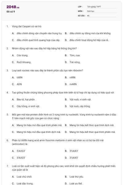 Đề số 9