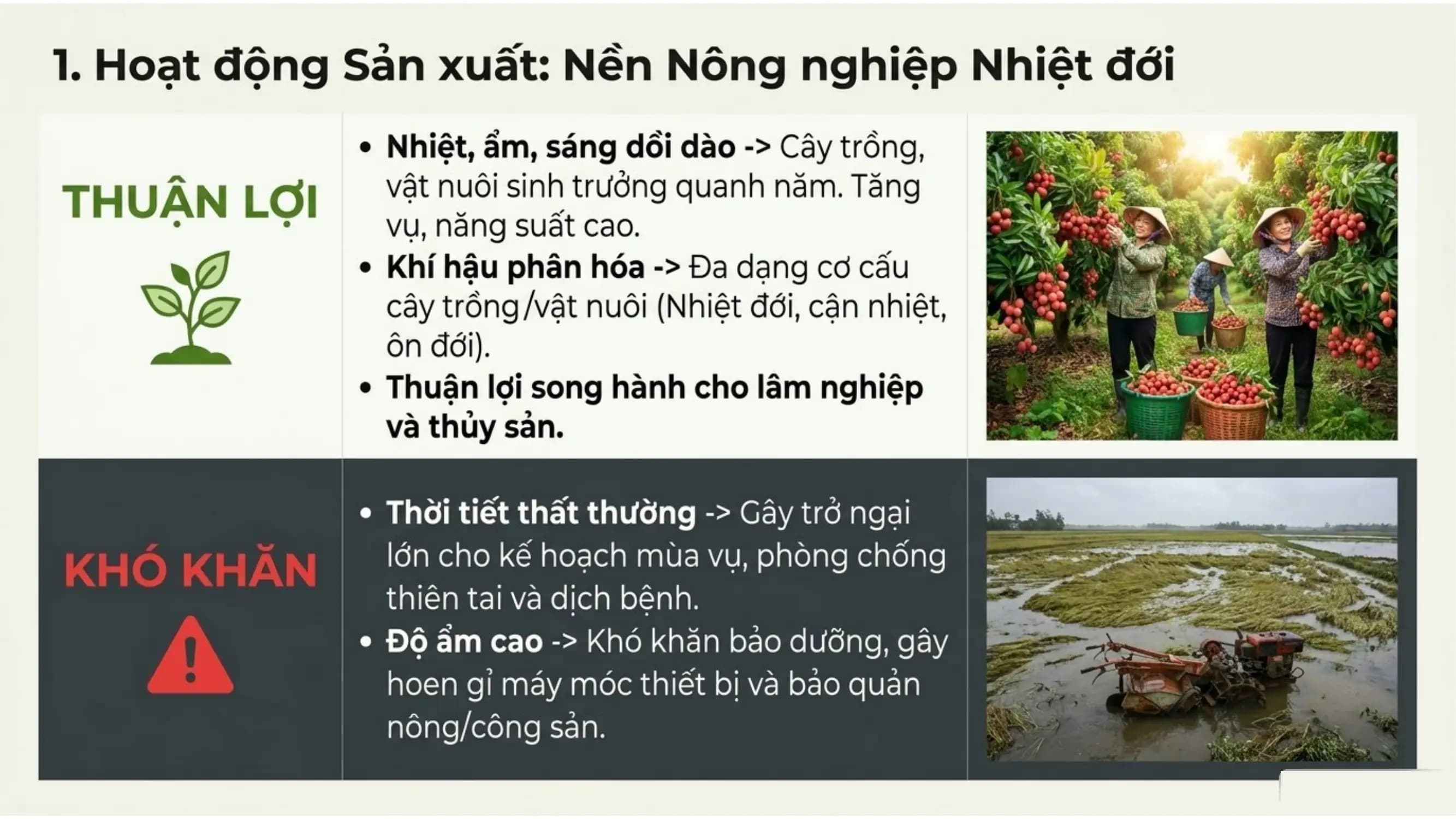 Nội dung nhập