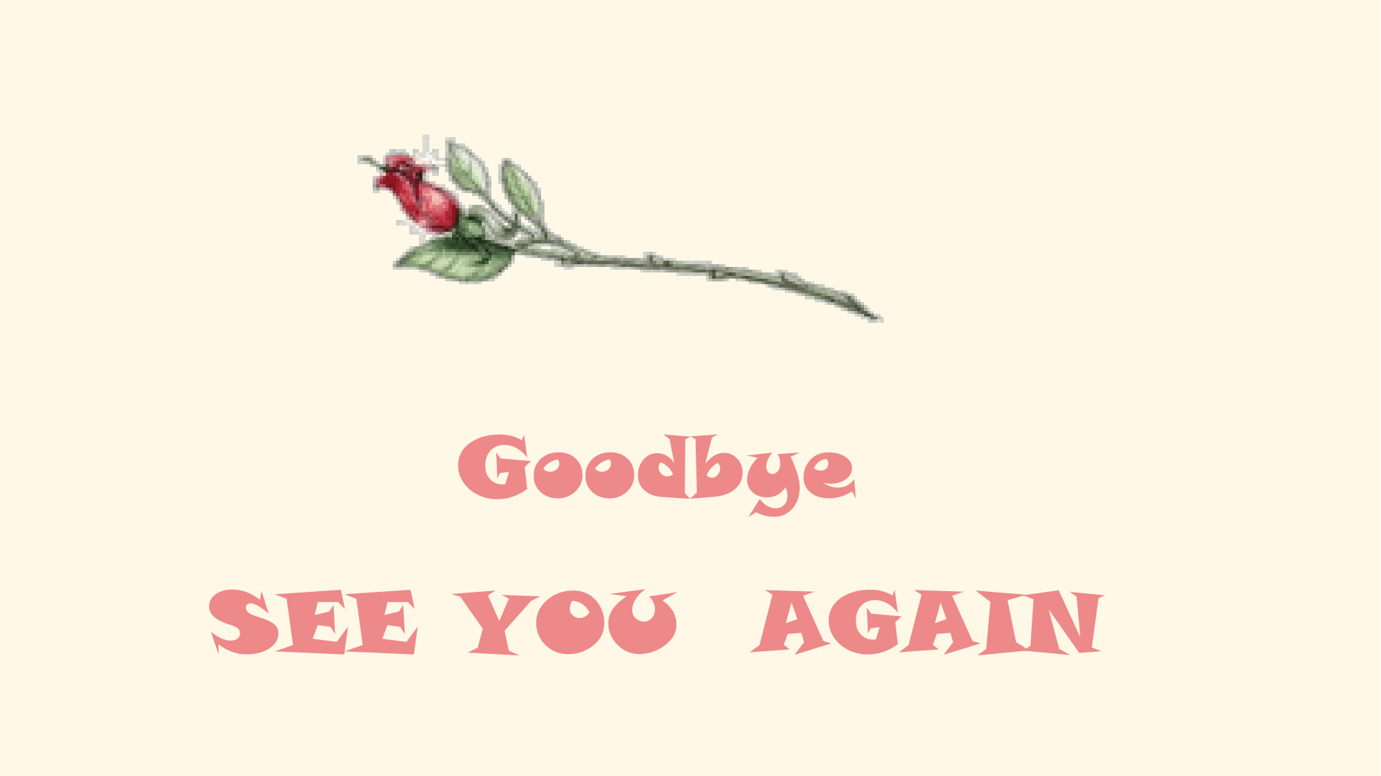 Goodbye
SEE YOU AGAIN