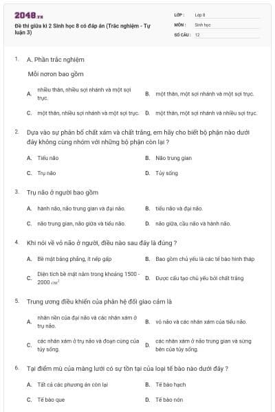 Đề thi giữa kì 2 Sinh học 8 có đáp án (Trắc nghiệm - Tự luận 3)