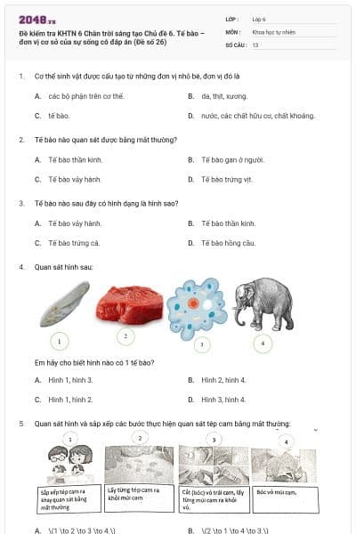 Đề kiểm tra KHTN 6 Chân trời sáng tạo Chủ đề 6. Tế bào – đơn vị cơ sở của sự sống có đáp án (Đề số 26)