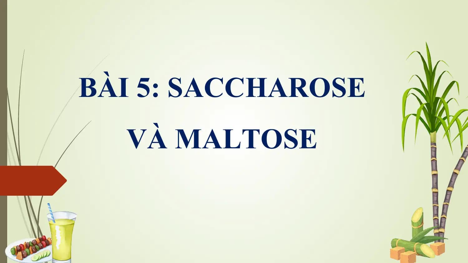 BÀI 5: SACCHAROSE
 VÀ MALTOSE