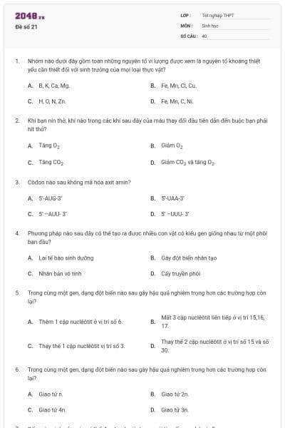 Đề số 21