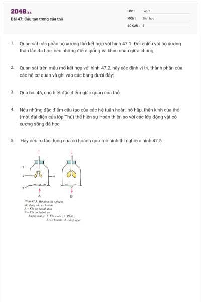 Bài 47: Cấu tạo trong của thỏ