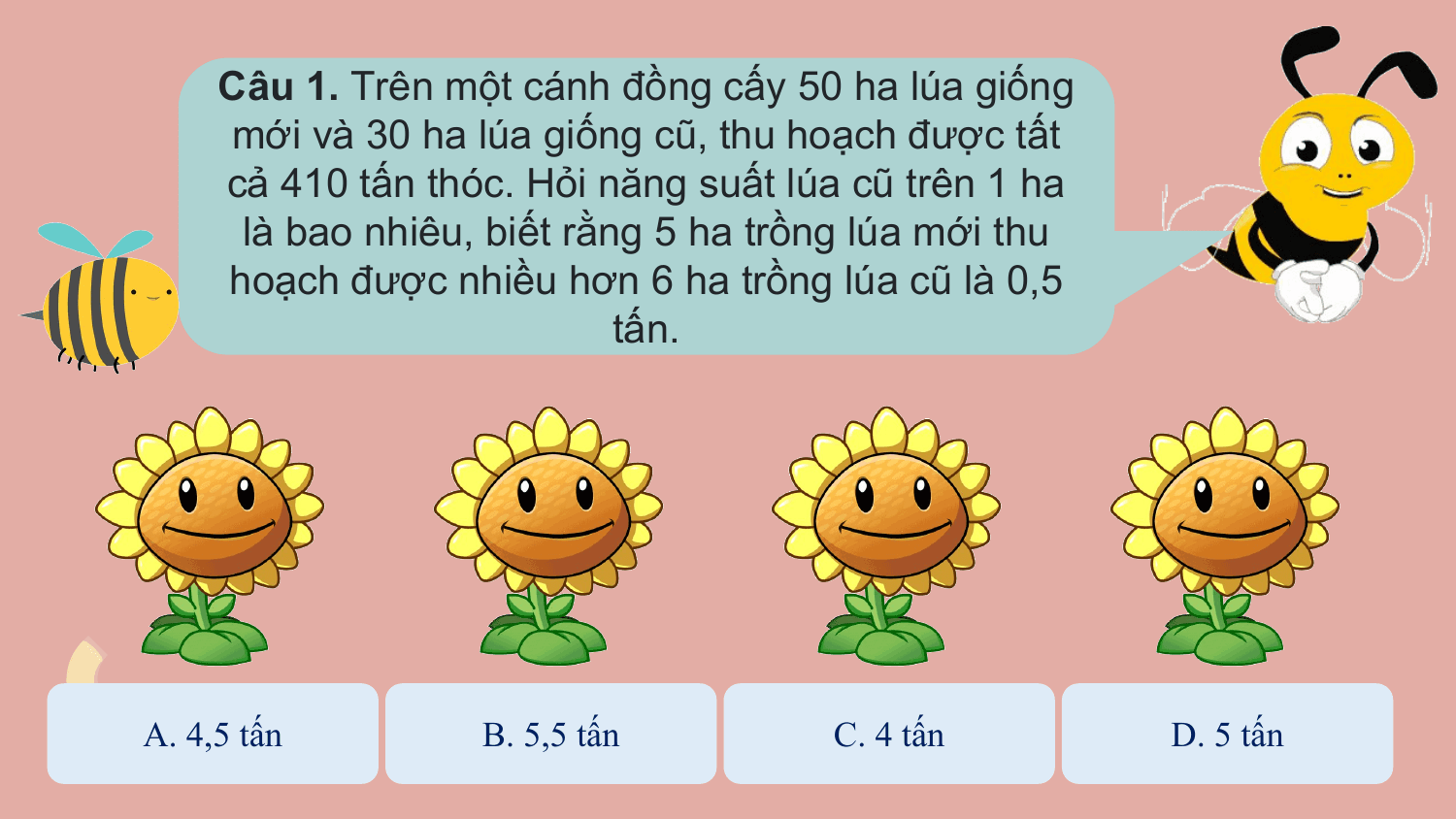 Câu 1. Trên một cánh đồng cấy 50 ha lúa giống
 mới và 30 ha lúa giống cũ, thu hoạch được tất
 cả 410 tấn thóc. Hỏi năng suất lúa cũ trên 1 ha
 là bao nhiêu, biết rằng 5 ha trồng lúa mới thu
 hoạch được nhiều hơn 6 ha trồng lúa cũ là 0,5
 tấn.

A. 4,5 tấn B. 5,5 tấn C. 4 tấn D. 5 tấn